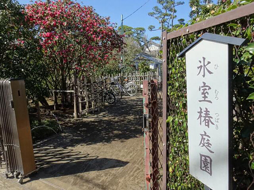 gallery12