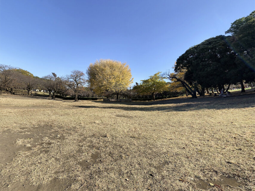 gallery2
