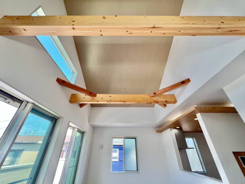 gallery7