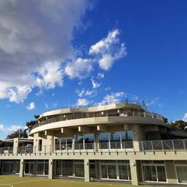gallery8
