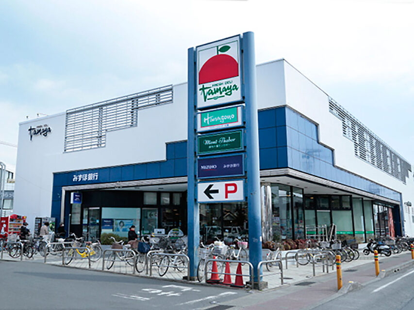 gallery5