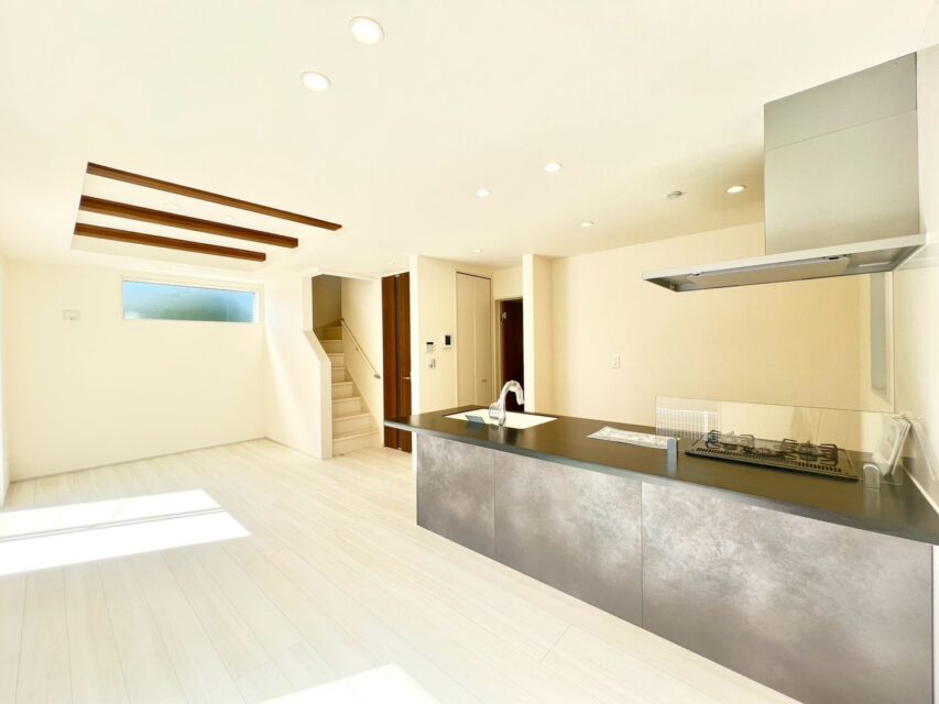 gallery6
